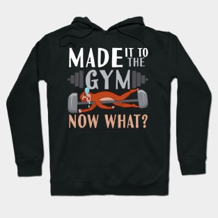 Made It To The Gym Now What? Sloth Hoodie